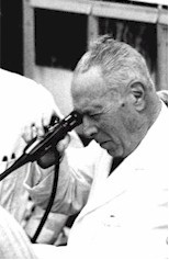 Dr. E. Vidal Colomer